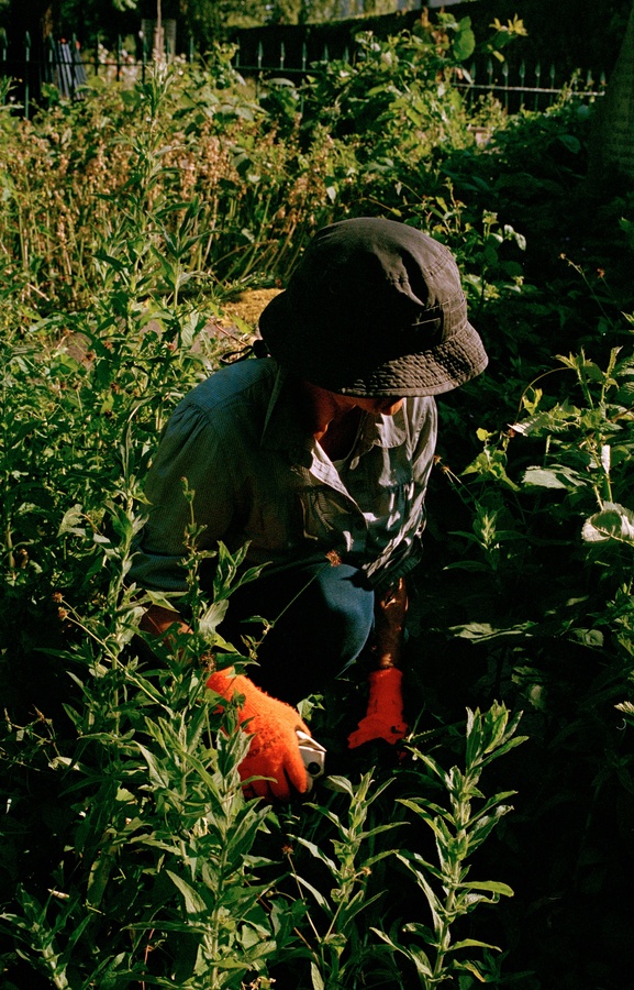 Gardening 3
